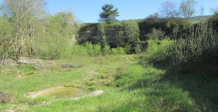 Vue générale de la réserve d'En Vâ Béchat