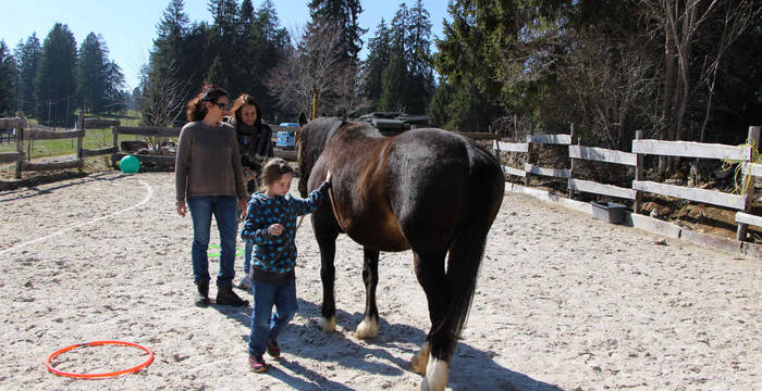 A la découverte du monde des chevaux