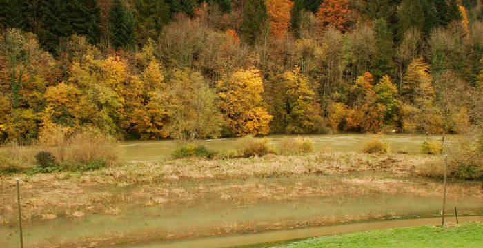 Le Doubs sort de son lit à Clairbief