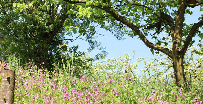 Des jardins de couleur