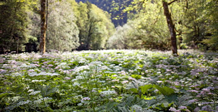Doubs © Matthias Sorg