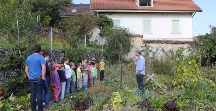 Les légumes et les fruits poussent au jardin