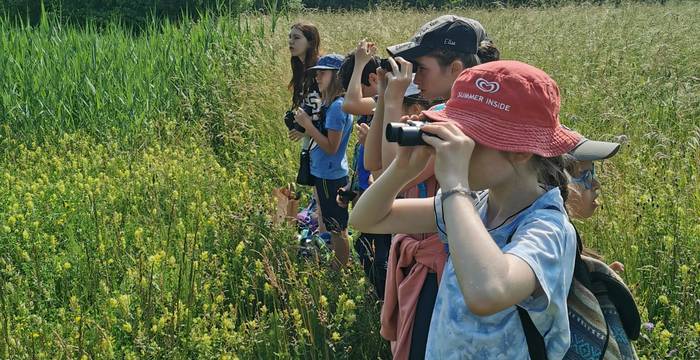 Observation d'oiseaux