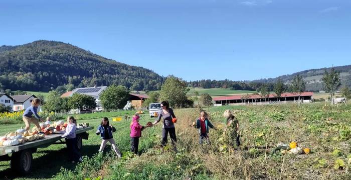 A la chasse aux courges