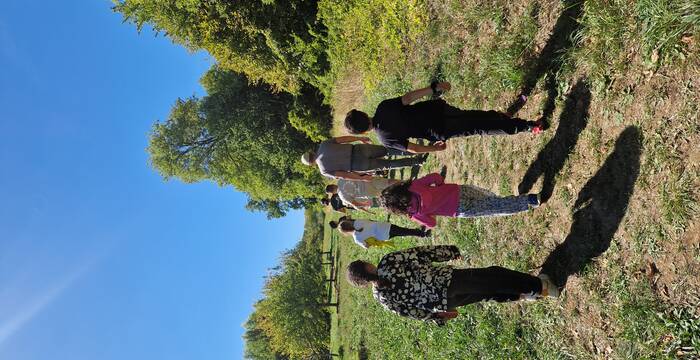 Volonterra - Plantation d'arbustes