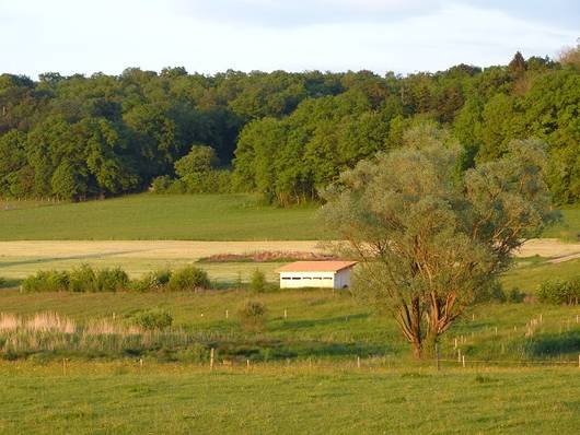 Cabanes d'observation de l'Etang des Coeudres à Damphreux