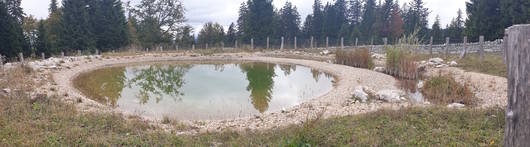 Etang agroécologique © Quentin Kohler