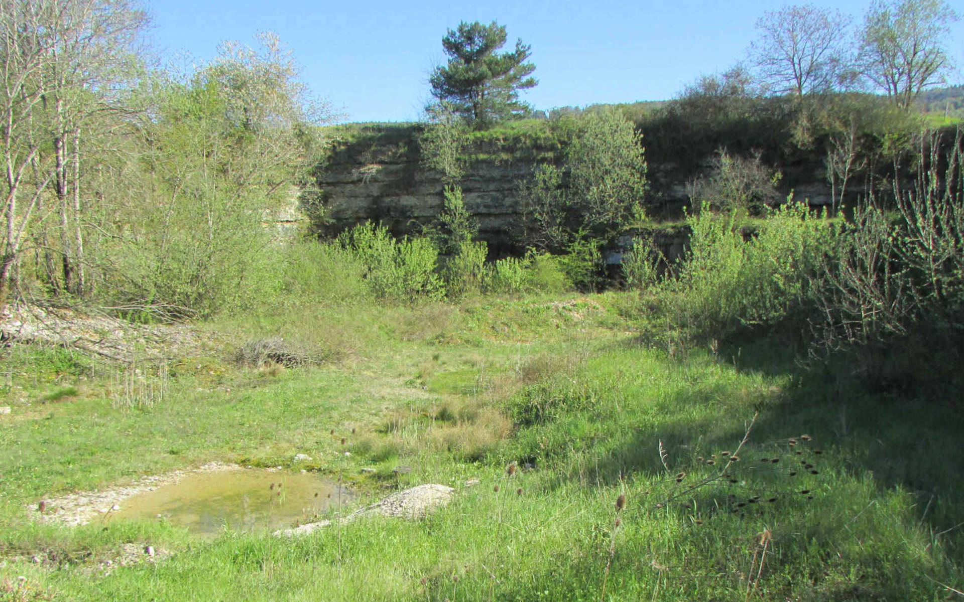 Vue générale de la réserve d'En Vâ Béchat © Marc Tourette