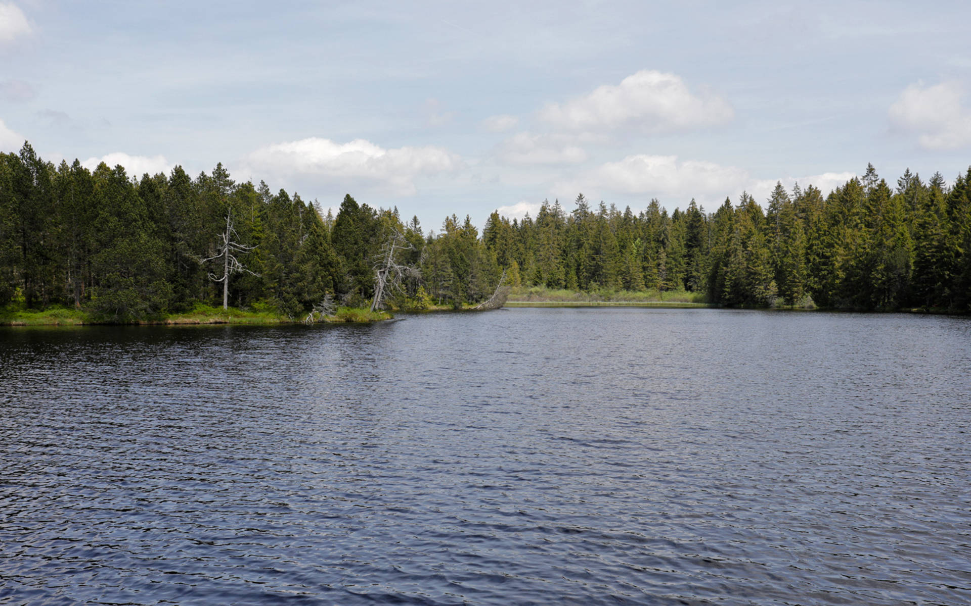 Etang de la Gruère © Matthias Sorg