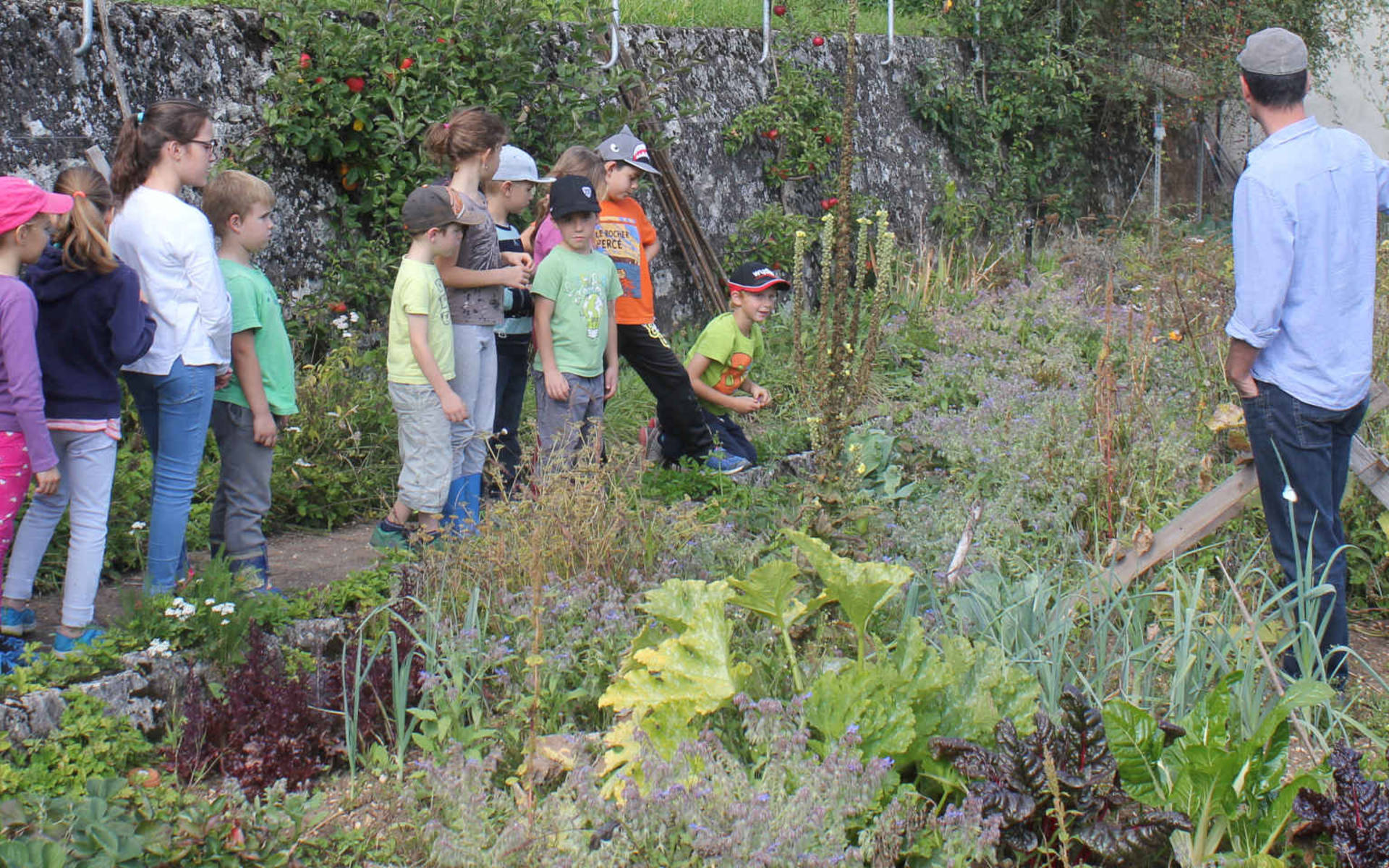 Contact avec la biodiversité du jardin © Florent Goetschi