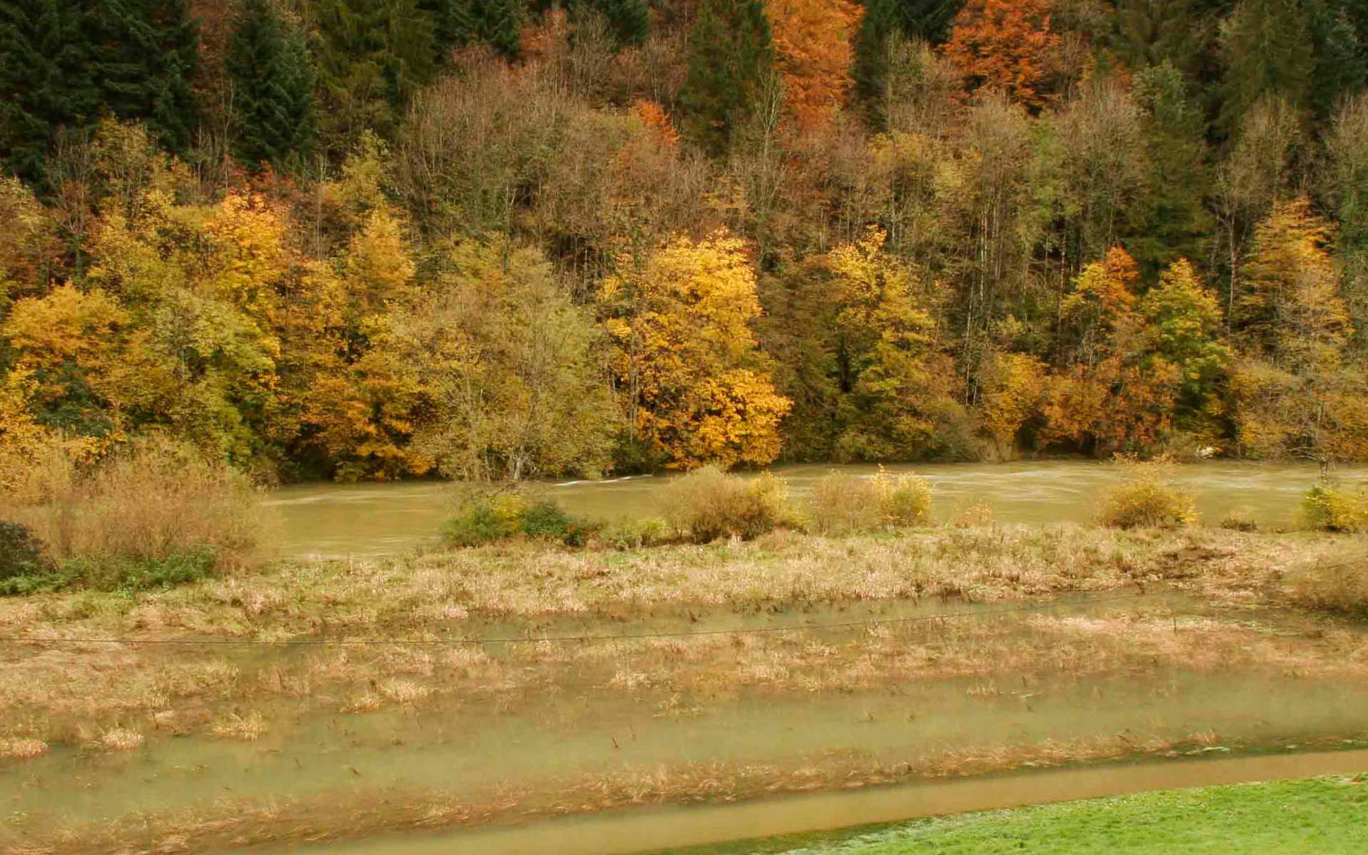 Le Doubs sort de son lit à Clairbief © Jean-Paul Lüthi