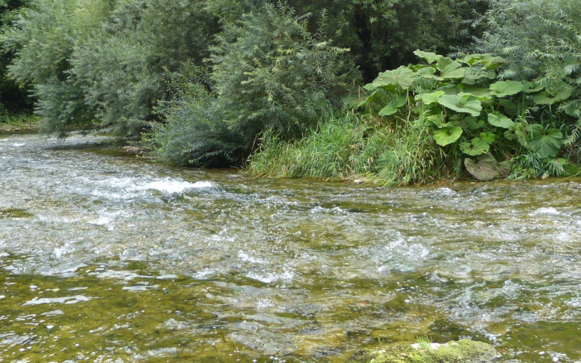Le Doubs © Sylvie Egger-Boegli