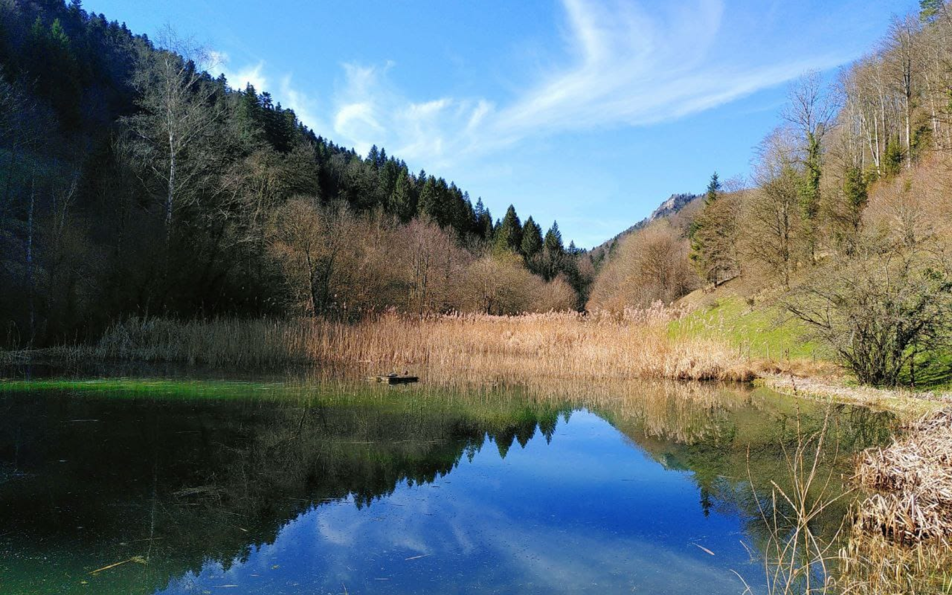 Combe de Tabeillon