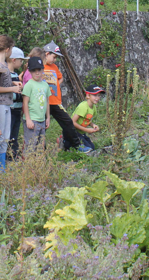 Contact avec la biodiversité du jardin