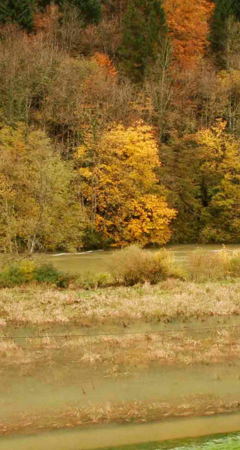 Le Doubs sort de son lit à Clairbief