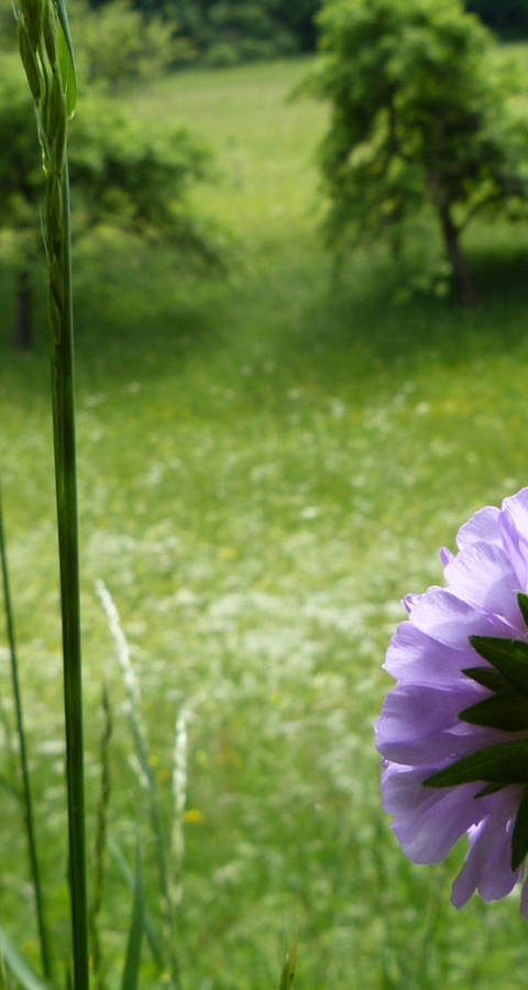 Le printemps arrive aussi dans les réserves partenaires