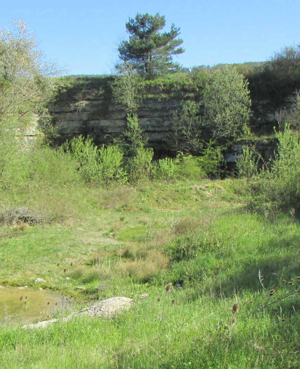 Vue générale de la réserve d'En Vâ Béchat