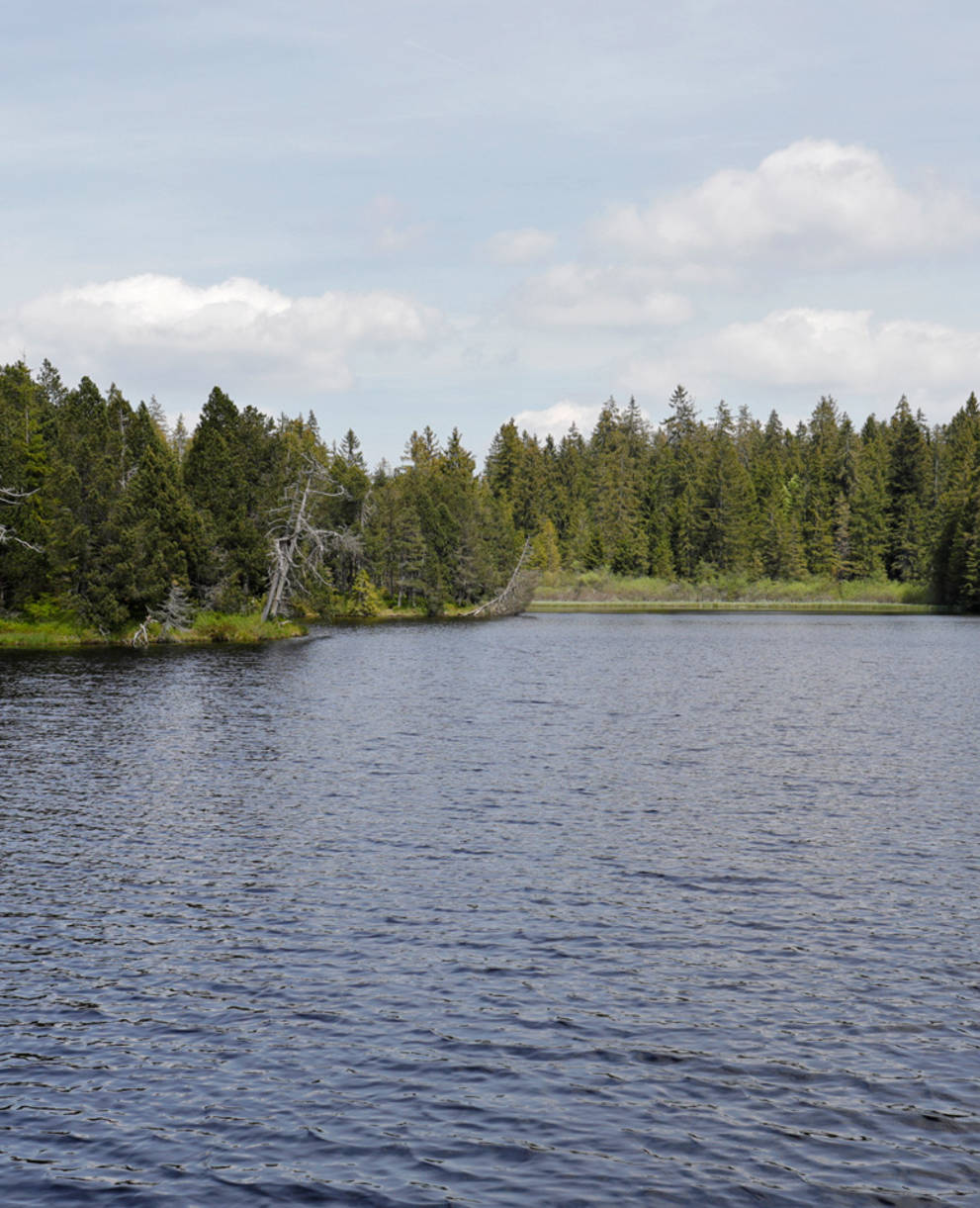 Etang de la Gruère