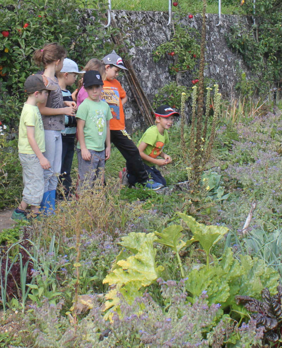 Contact avec la biodiversité du jardin