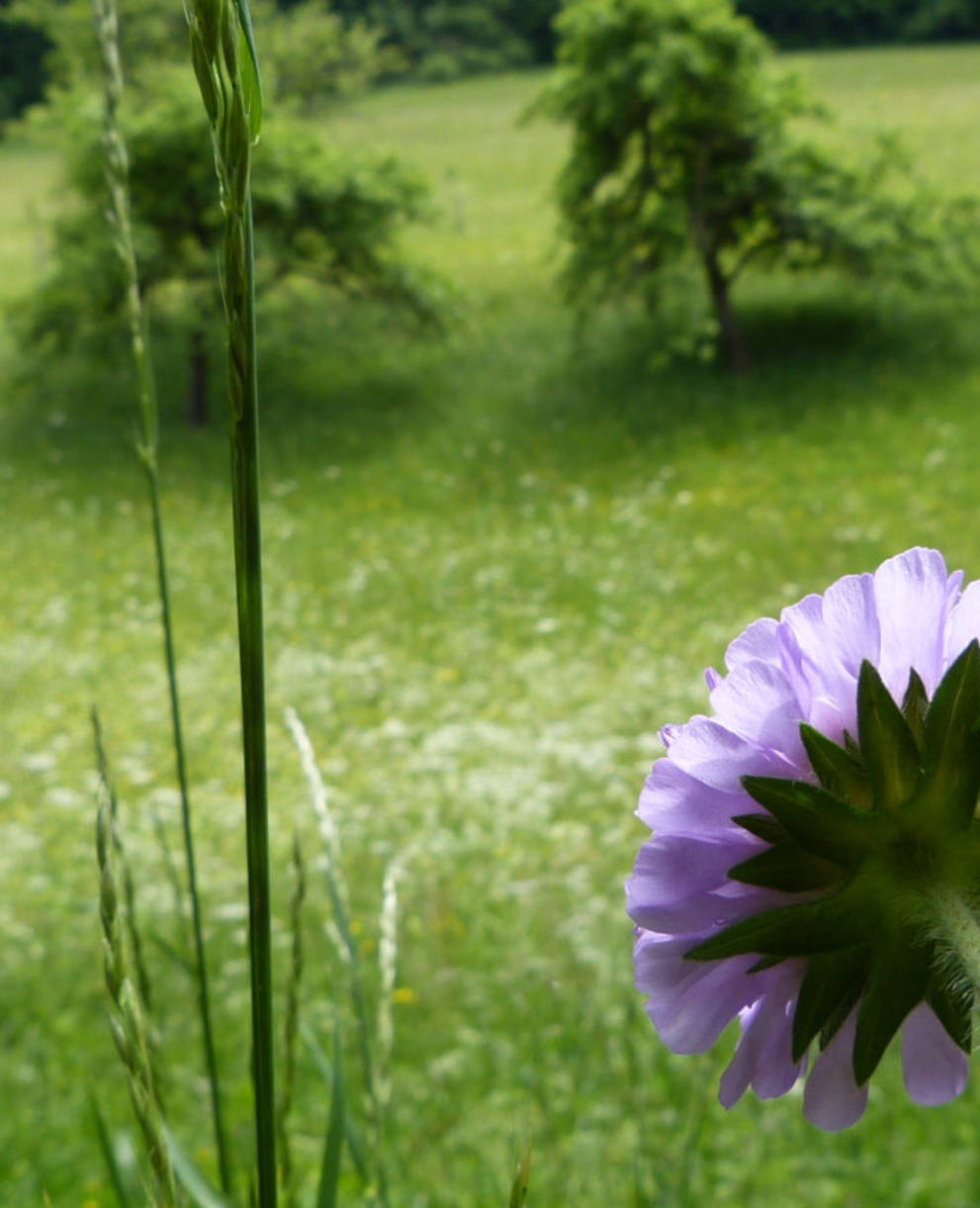 Le printemps arrive aussi dans les réserves partenaires