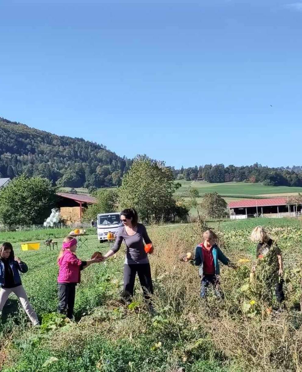 A la chasse aux courges